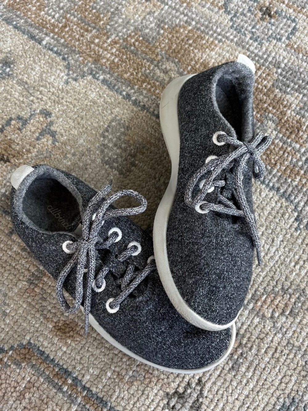 Allbird Shoes
